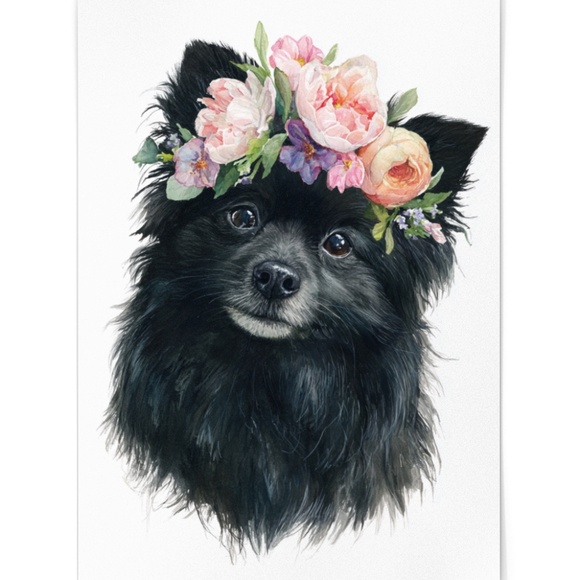 Watercolor Black Pomeranian Dog Portrait Art Print – Unframed Fine Art Poster - Picture 2 of 5